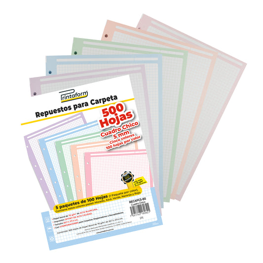 Repuestos para Carpeta Arcoíris Pastel 500 hojas