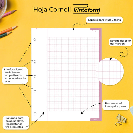 Repuestos para Carpeta Hoja Cornell 500 hojas
