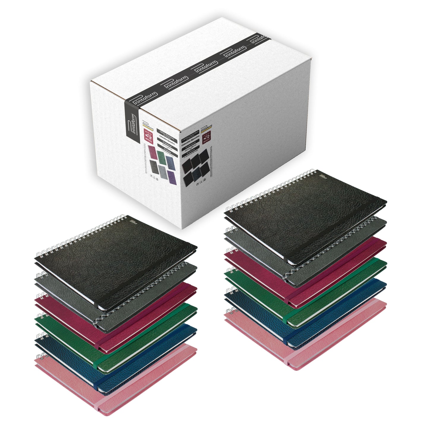 Caja de Libretas Profesional 100h, 12 piezas, pasta dura