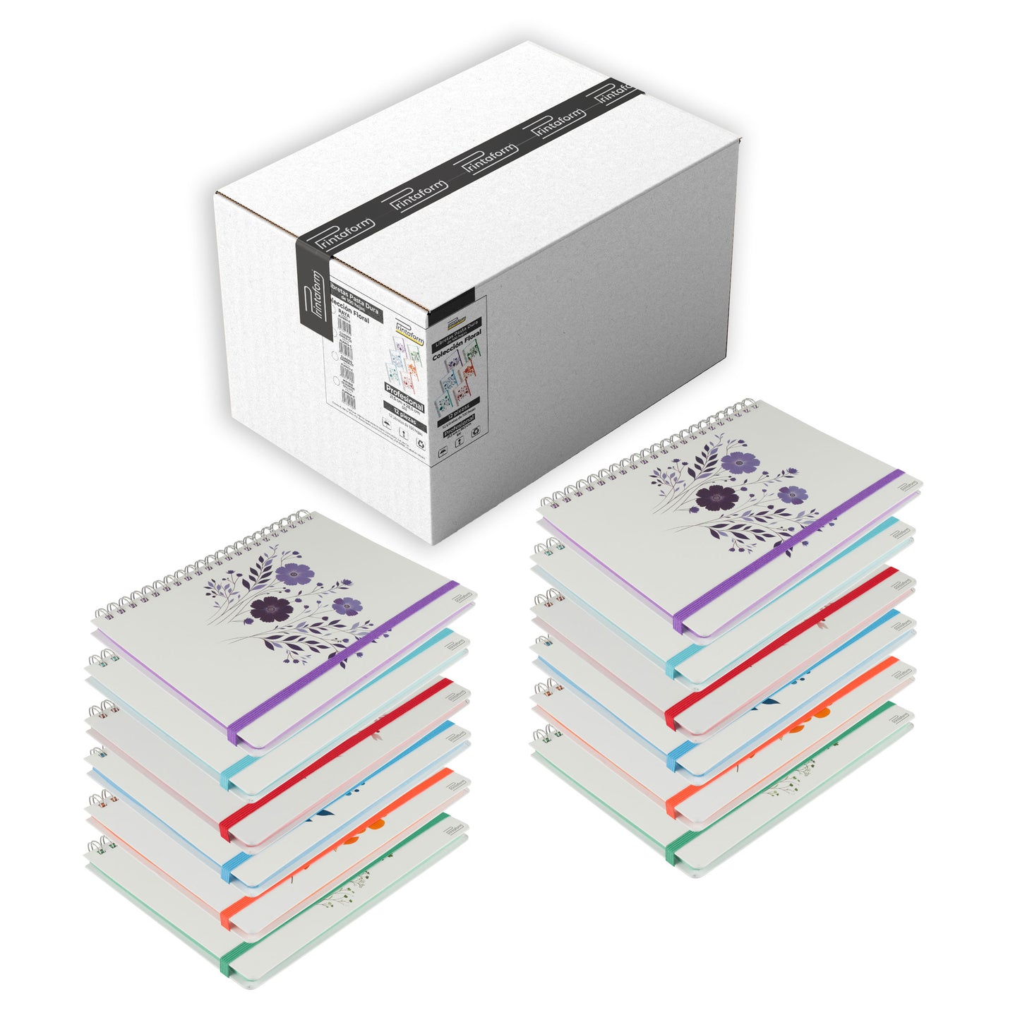 Caja de Libretas Profesional 100h, 12 piezas, pasta dura