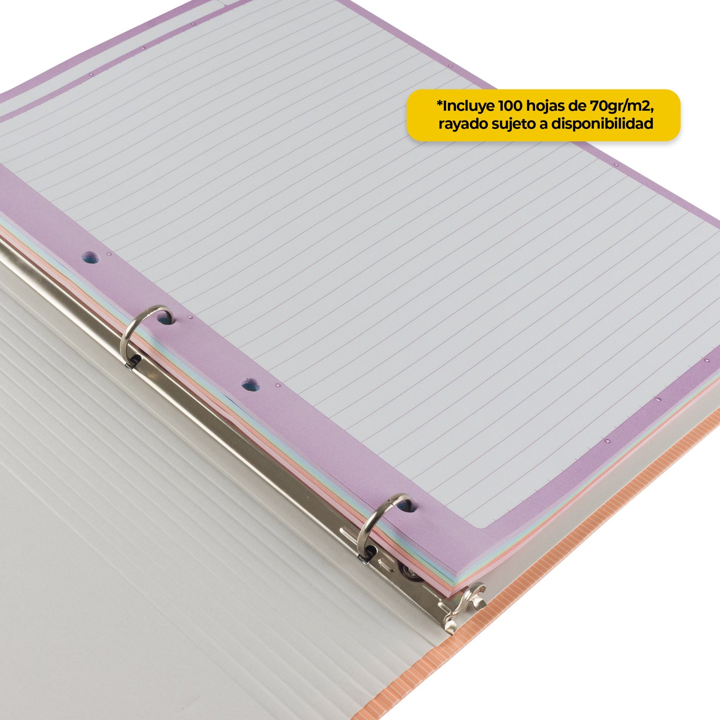 Carpeta Arcoíris Pastel Universitaria Premium 3/4"