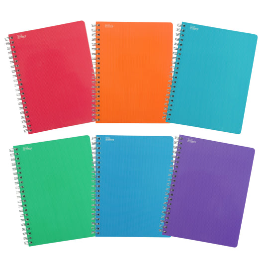 Libreta Multicolor Profesional Pasta Semirrígida 100 hojas